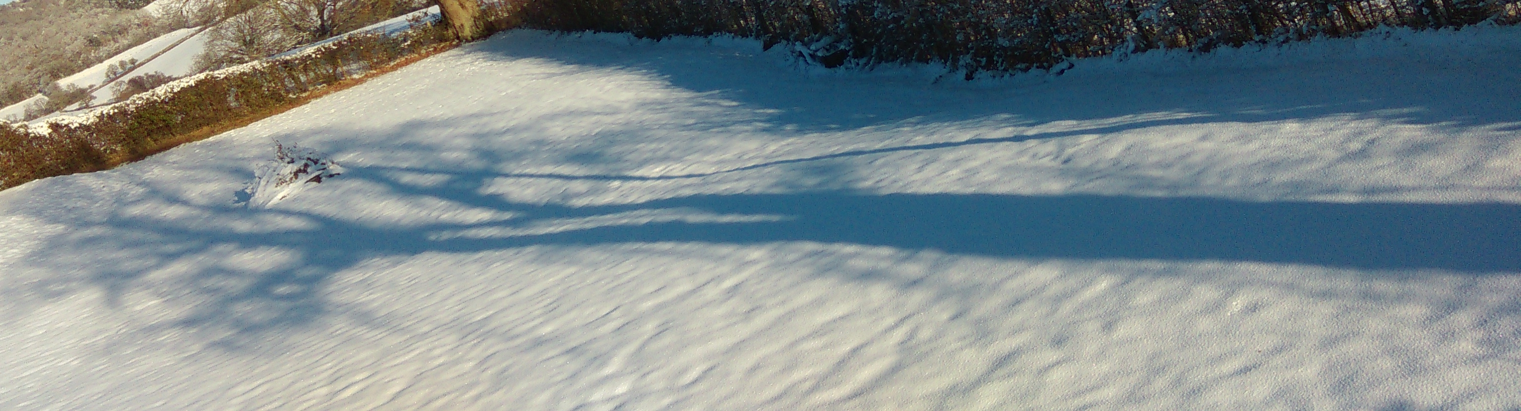 in your absence a legacy